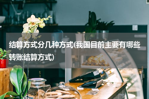 结算方式分几种方式(我国目前主要有哪些转账结算方式)