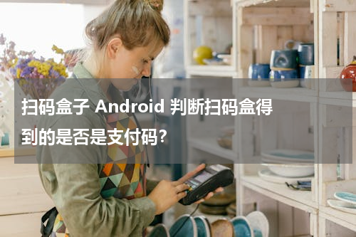扫码盒子 Android 判断扫码盒得到的是否是支付码？