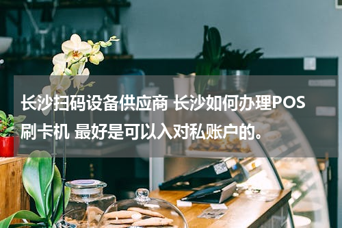 长沙扫码设备供应商 长沙如何办理POS刷卡机 最好是可以入对私账户的。