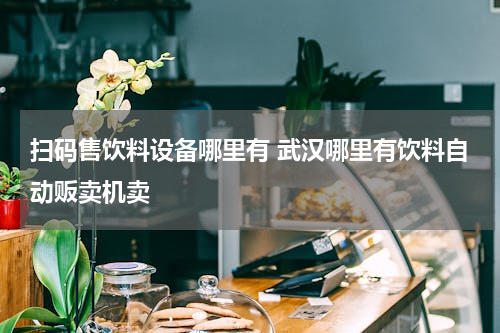 扫码售饮料设备哪里有 武汉哪里有饮料自动贩卖机卖