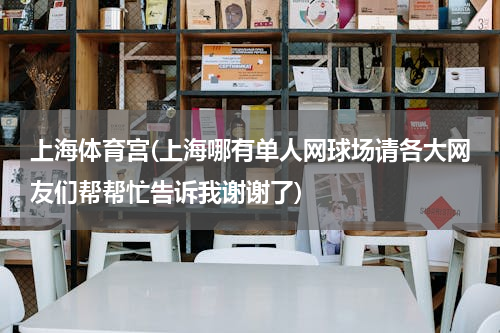 上海体育宫(上海哪有单人网球场请各大网友们帮帮忙告诉我谢谢了)