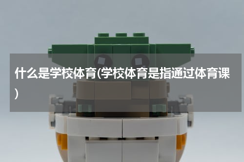 什么是学校体育(学校体育是指通过体育课)