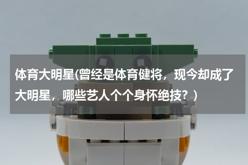 体育大明星(曾经是体育健将，现今却成了大明星，哪些艺人个个身怀绝技？)