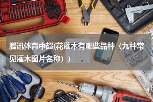 腾讯体育中超(花灌木有哪些品种（九种常见灌木图片名称）)