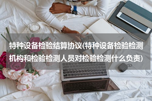 特种设备检验结算协议(特种设备检验检测机构和检验检测人员对检验检测什么负责)