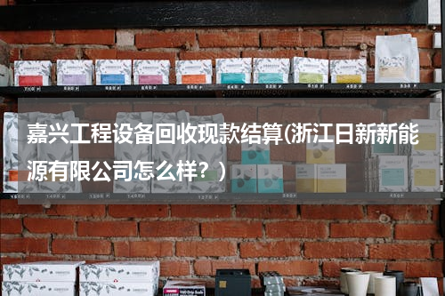 嘉兴工程设备回收现款结算(浙江日新新能源有限公司怎么样？)