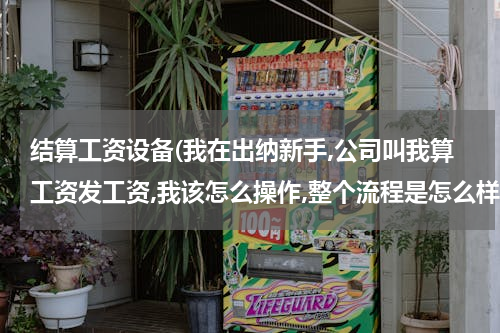结算工资设备(我在出纳新手,公司叫我算工资发工资,我该怎么操作,整个流程是怎么样的)