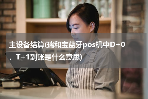主设备结算(瑞和宝蓝牙pos机中D+0，T+1到账是什么意思)